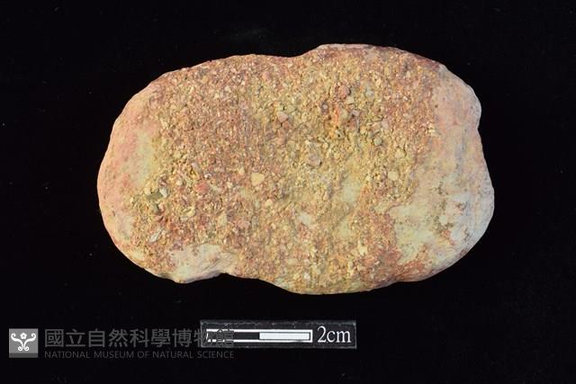 網墜藏品圖，第2張