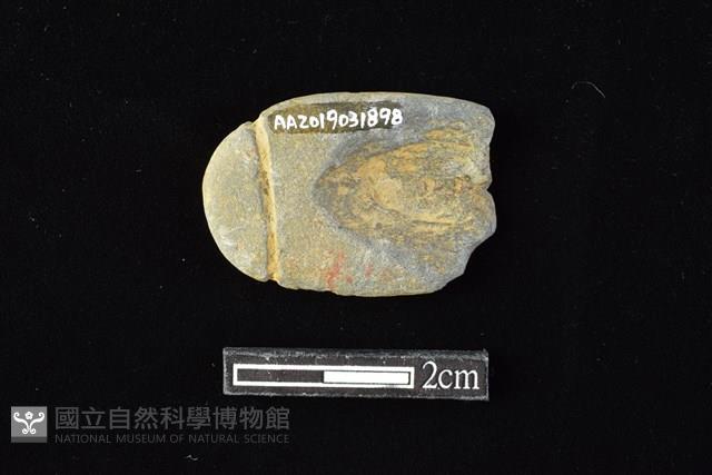 網墜藏品圖，第2張