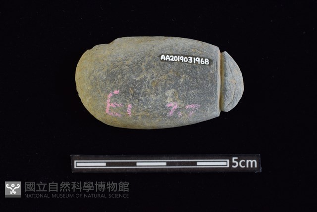 網墜藏品圖，第2張