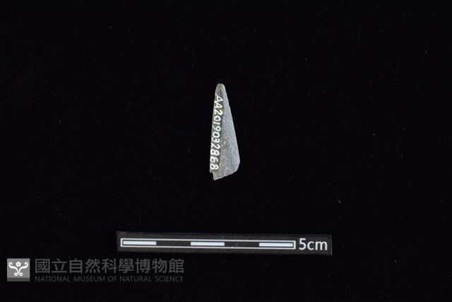 矛鏃形器藏品圖，第2張