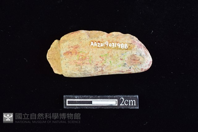 網墜藏品圖，第2張