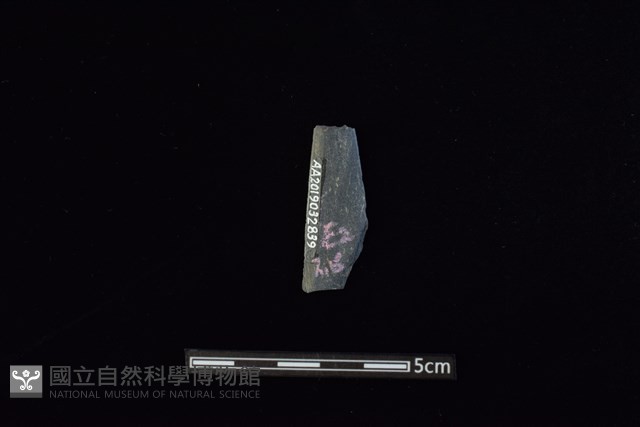 矛鏃形器藏品圖，第2張