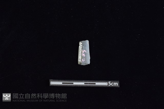 矛鏃形器藏品圖，第2張