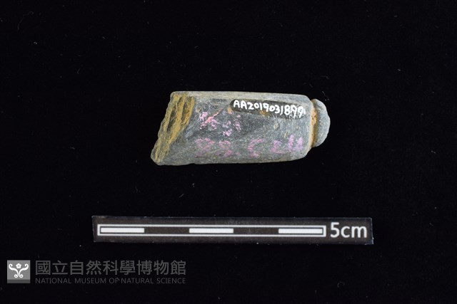 網墜藏品圖，第2張