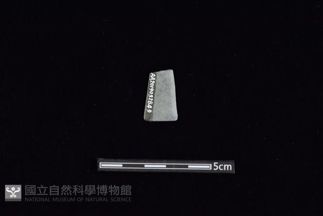 矛鏃形器藏品圖，第2張