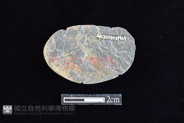 網墜藏品圖，第2張