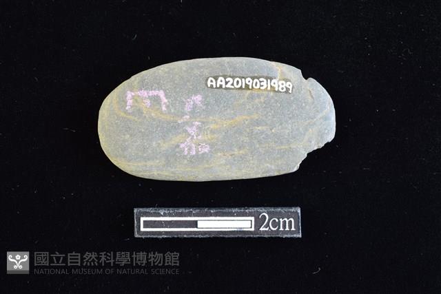 網墜藏品圖，第2張