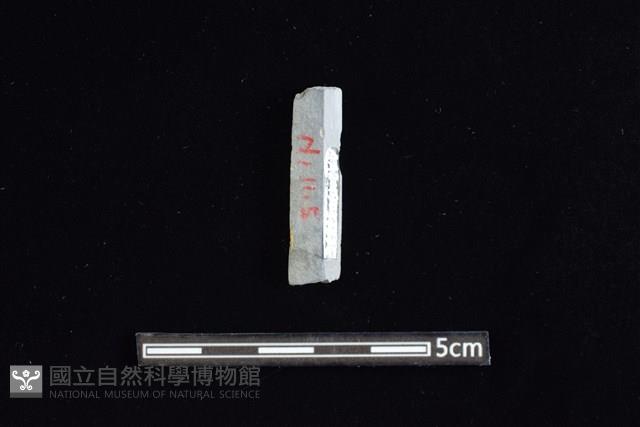 矛鏃形器藏品圖，第2張