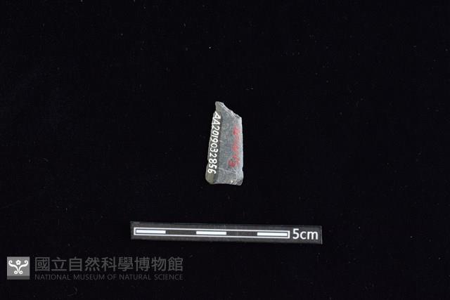 矛鏃形器藏品圖，第2張