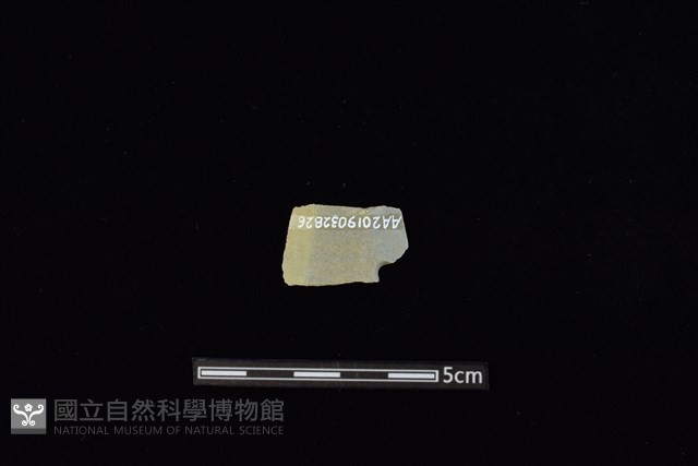 矛鏃形器藏品圖，第2張