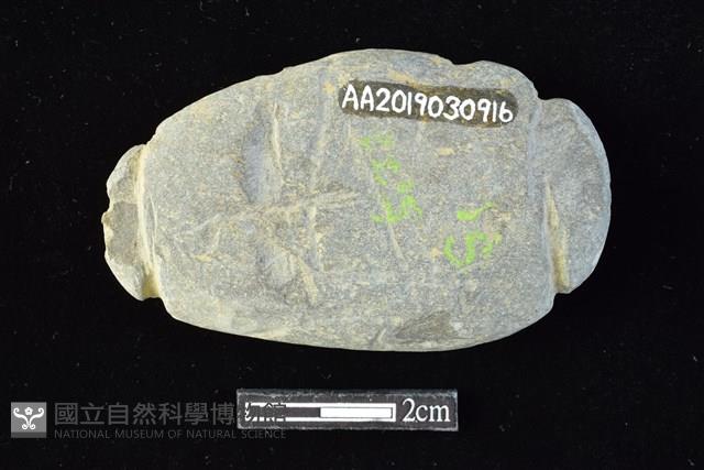 網墜藏品圖，第2張