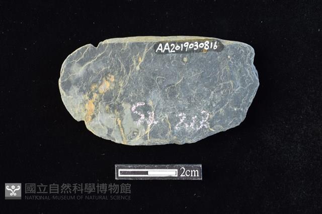 網墜藏品圖，第2張