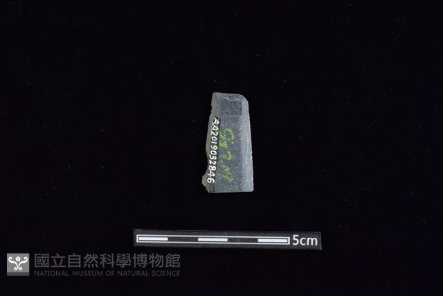 矛鏃形器藏品圖，第2張