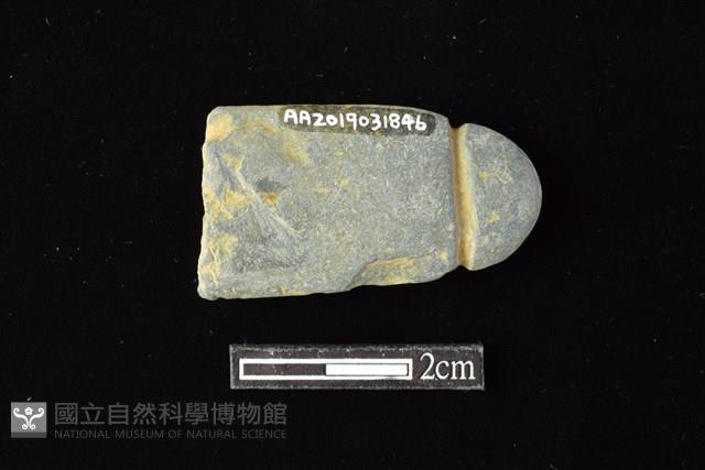 網墜藏品圖，第2張