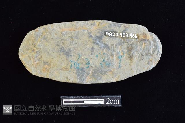 網墜藏品圖，第2張