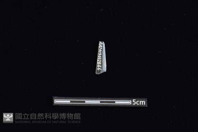 矛鏃形器藏品圖，第2張