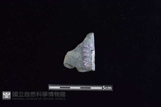 矛鏃形器藏品圖，第2張