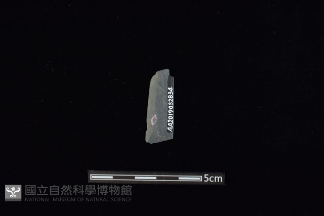 矛鏃形器藏品圖，第2張