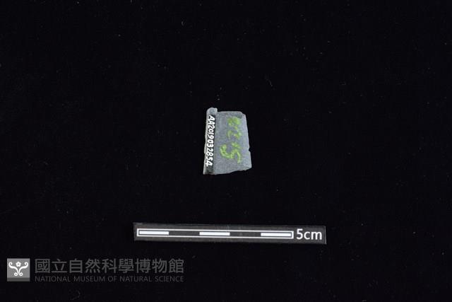 矛鏃形器藏品圖，第2張