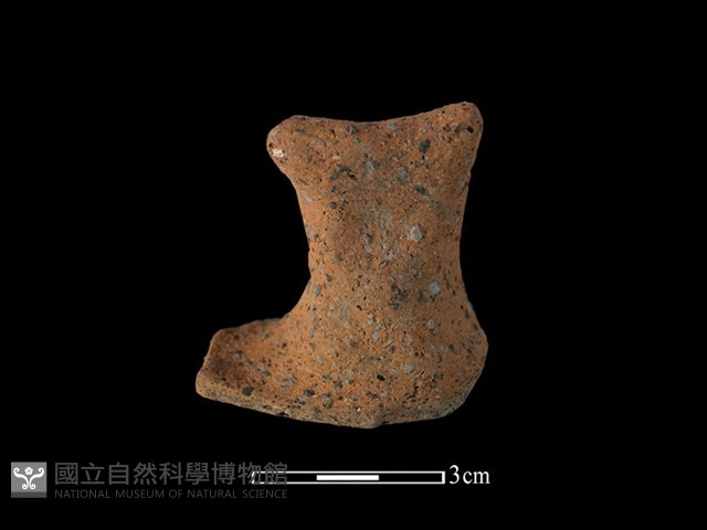 陶蓋鈕藏品圖，第2張