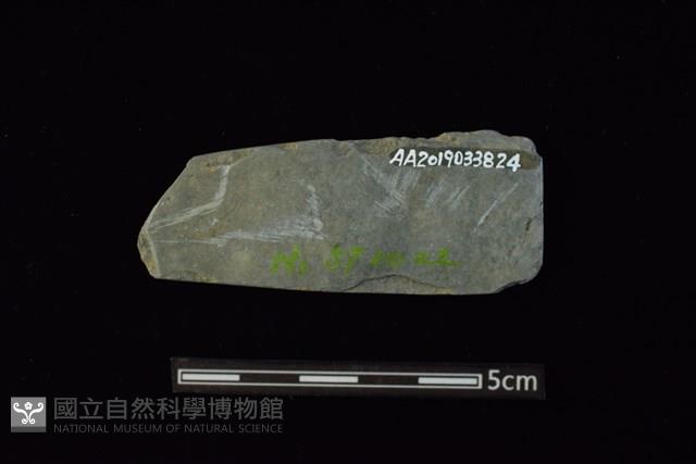 矛鏃形器藏品圖，第2張