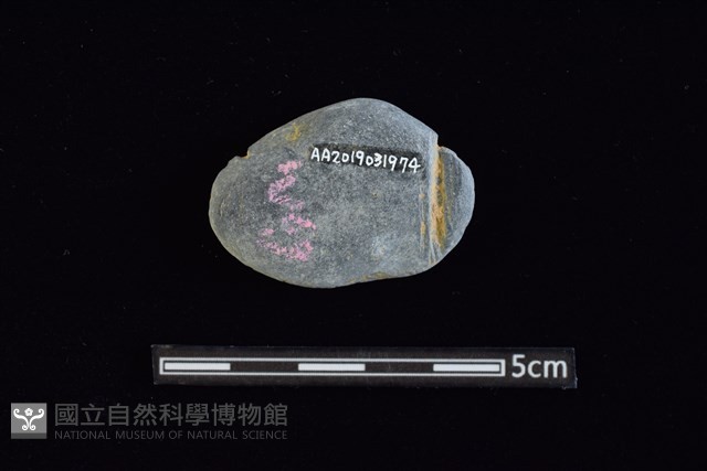 網墜藏品圖，第2張