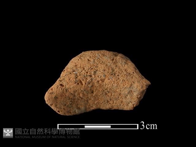 陶耳藏品圖，第2張