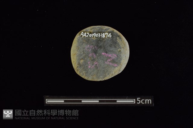 石圓片藏品圖，第2張