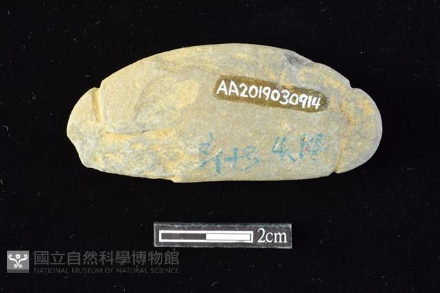 網墜藏品圖，第2張