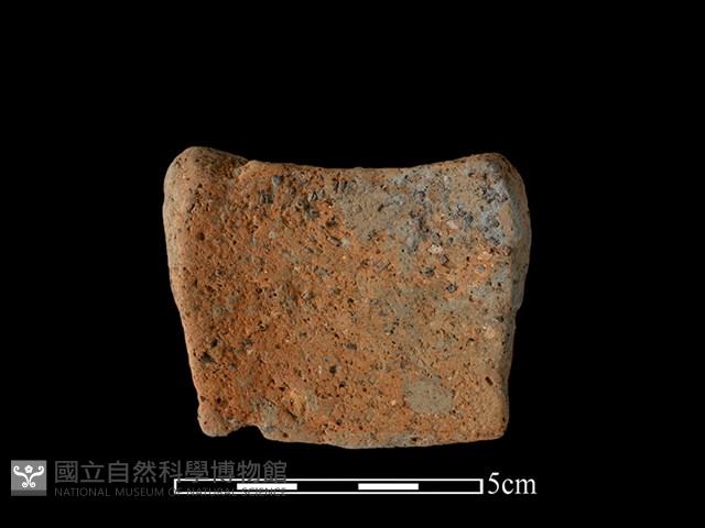 陶片藏品圖，第2張