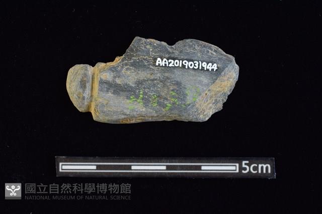 網墜藏品圖，第2張