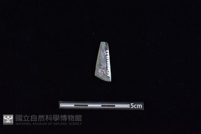 矛鏃形器藏品圖，第2張