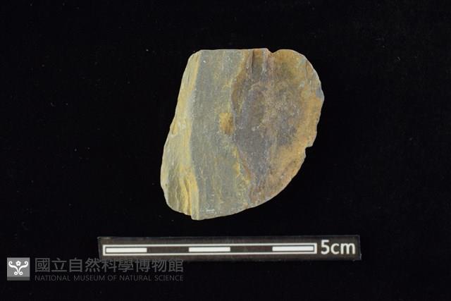 網墜藏品圖，第2張