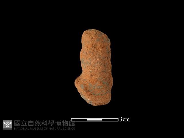 陶蓋鈕藏品圖，第2張