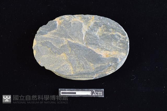 網墜藏品圖，第2張