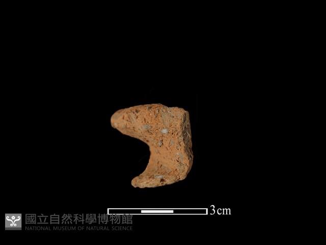 陶耳藏品圖，第2張