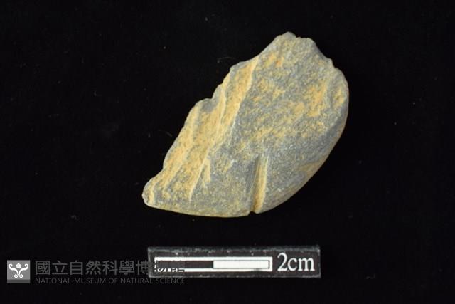 網墜藏品圖，第2張