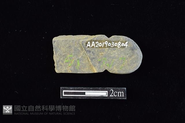 網墜藏品圖，第2張