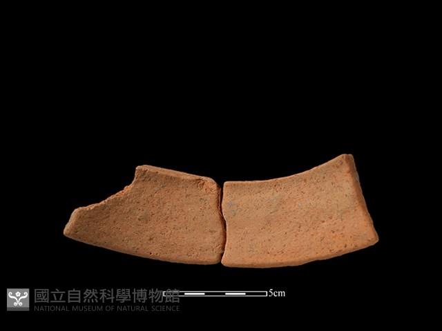 陶片藏品圖，第2張