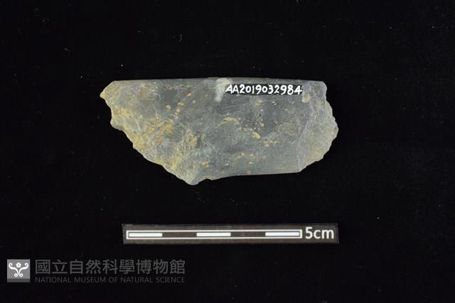 石鐮藏品圖，第2張