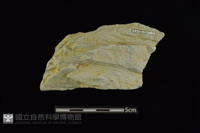 石材藏品圖，第2張