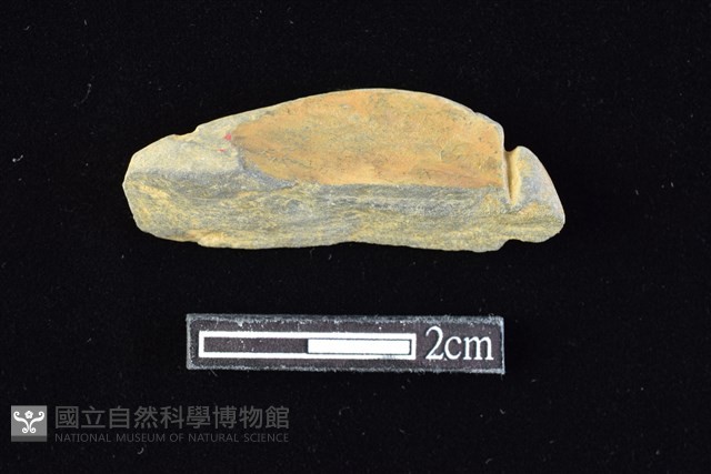 網墜藏品圖，第2張
