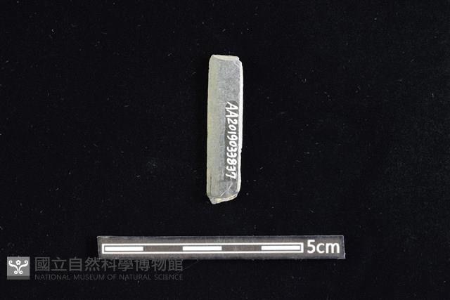 矛鏃形器藏品圖，第2張