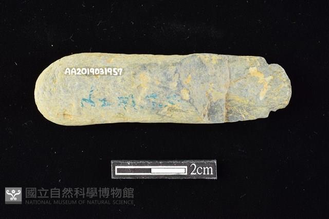 網墜藏品圖，第2張