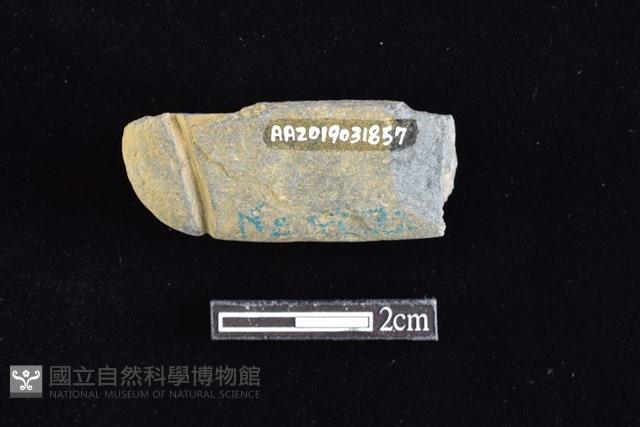 網墜藏品圖，第2張