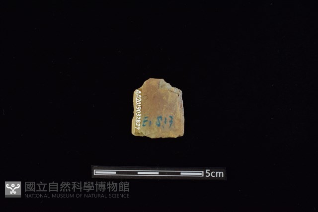 矛鏃形器藏品圖，第2張