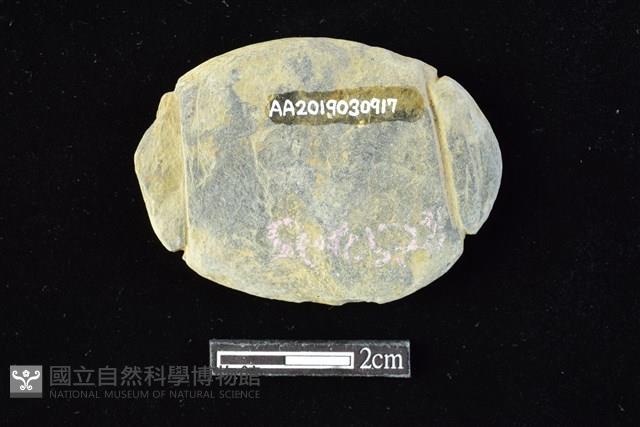 網墜藏品圖，第2張