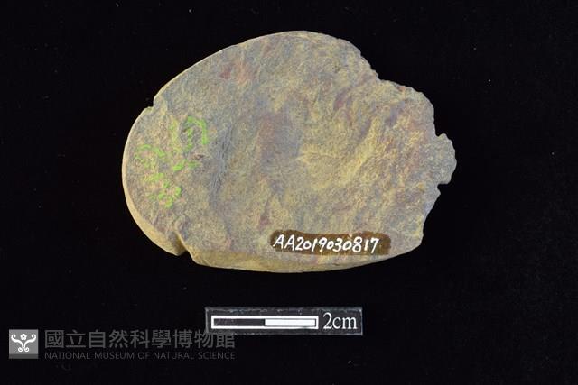 網墜藏品圖，第2張