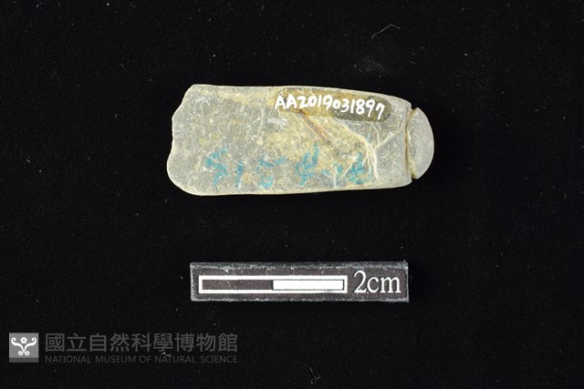 網墜藏品圖，第2張