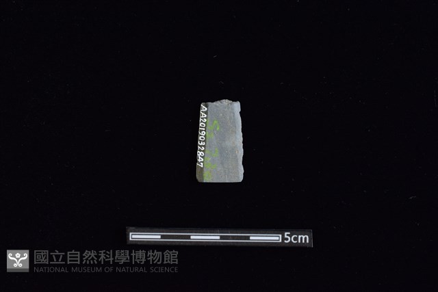 矛鏃形器藏品圖，第2張